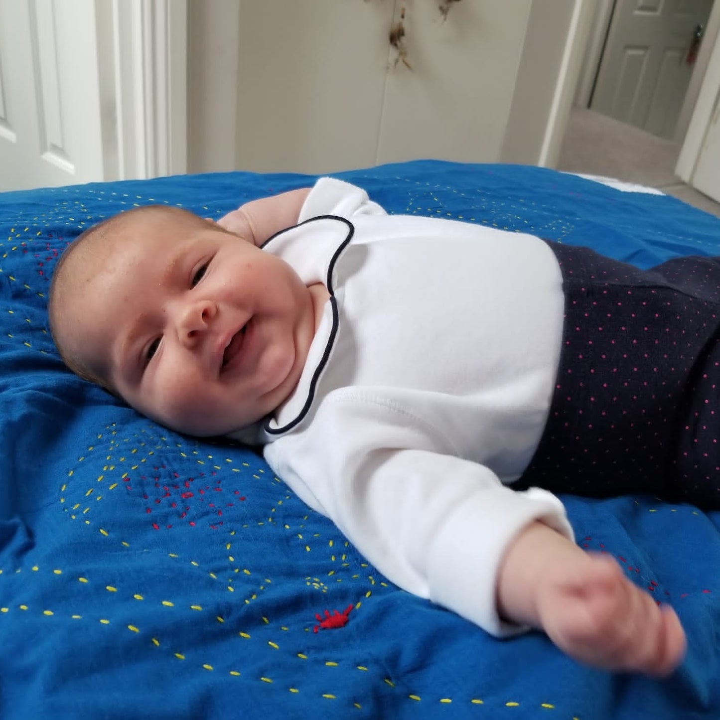 Dinajpur (Elephant) Happy Blankets